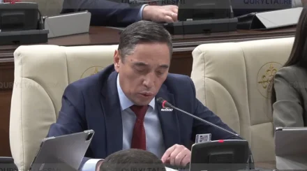  Байыпсыз блогер мен кереғар коучке еліктейді: Депутат мемлекетшіл тұлғаларды ұрпаққа үлгі етудің маңызын айтты 