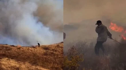 Ликвидировали крупный природный пожар в Тарбагатае на востоке Казахстана