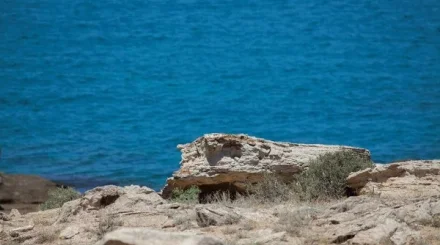 Военнослужащих унесло в море во время учений на Каспии: девять погибли