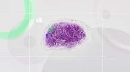 Австралия заявила о взломе правительственного сайта ИИ-агентом от OpenAI