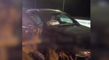 Резонансное ДТП в Павлодарской области: дело прекратили по амнистии