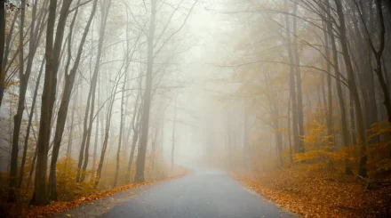 Тұман, үсік және жаңбыр: бірнеше өңірде дауылды ескерту жарияланды