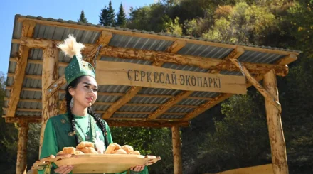 Выше только горы