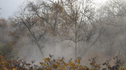 Бүгін елімізде ауа райы қандай болады