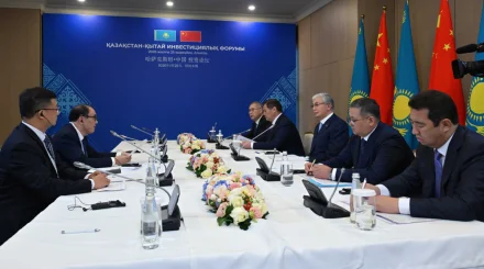 Жамбылдағы жаңа жоба: Жүгеріге сұраныс артады