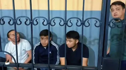 Шымкентте TikTok эфирінен кейін төрт блогерге жаза тағайындалды