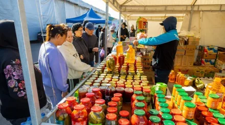 3,5 тысячи тонн сельхозпродукции представили на ярмарках «Дала дәмі»