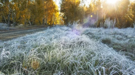 26 қыркүйекте бірнеше өңірде үсік түсіп, жаңбыр жауады