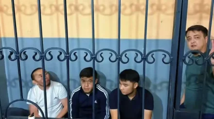 За мат в ТикТоке арестовали четверых блогеров из Шымкента