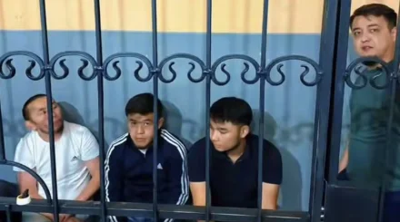 До 17 суток ареста: блогеров наказали после прямого эфира в Шымкенте