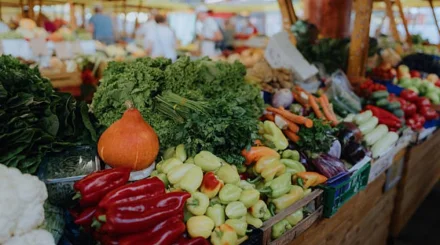 Мясо, рыба и знаменитый "Апорт": что привезли на ярмарку алматинцы в Астану