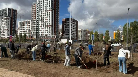 «Таза Қазақстан»: Астанада 400-ге жуық ағаш отырғызылды