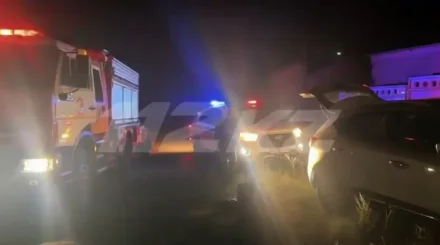 Алматы облысында шөп өрті сөндірілді