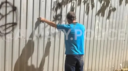Двух вандалов арестовали за надписи на объектах в Алматы (ВИДЕО)