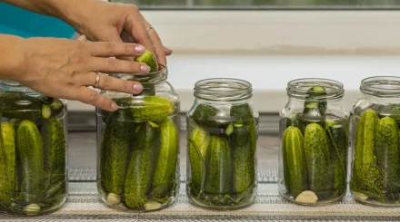 Маринованные, квашеные или соленые — какие огурцы полезнее?