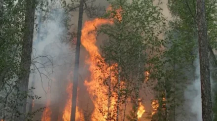 Два природных пожара зарегистрировали в Казахстане