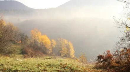 Үсік, тұман және найзағай: Еліміздің барлық өңірінде дауылды ескерту жарияланды