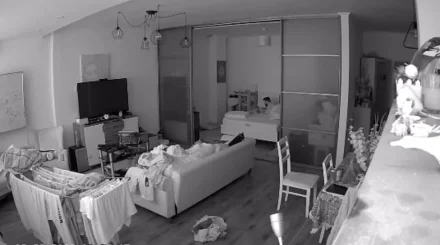 Момент землетрясения в Алматы попал на видео с камеры в квартире