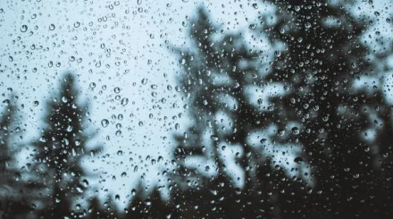 Тұман, жаңбыр, найзағай: 17 өңірде дауылды ескерту жарияланды