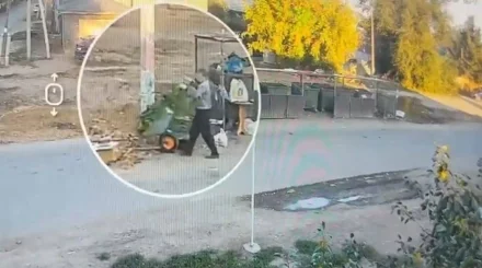 Почти 7 тысяч нарушений выявили в ЗКО: что нарушают жители