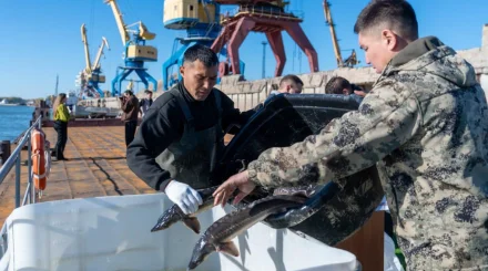 На Зайсане хотят выращивать до 6 млн мальков в год и перерабатывать рыбу на месте