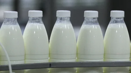   Қазақстанда 441,3 мың тонна сүт өндірілді   