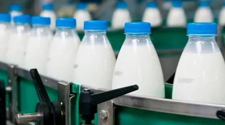 Қазақстанда 441,3 мың тонна сүт өндірілді