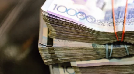  Жан басына шаққандағы ақшалай табыс 410 мың теңгеге жетті 