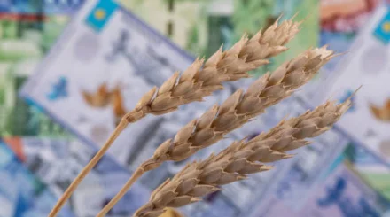  Батыс Қазақстанда мемлекетке 1,2 млрд теңге залал келтірген 5 күдікті ұсталды 