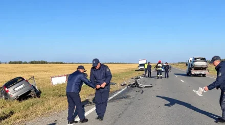 «Газель» выехала на встречку: женщина-водитель погибла в ДТП в Костанайской области