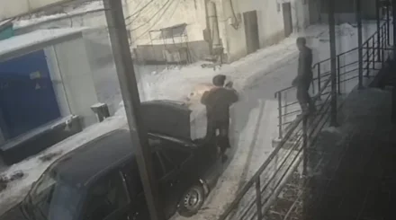 36 голов скота похитила группа из 11 человек в области Абай (ВИДЕО)