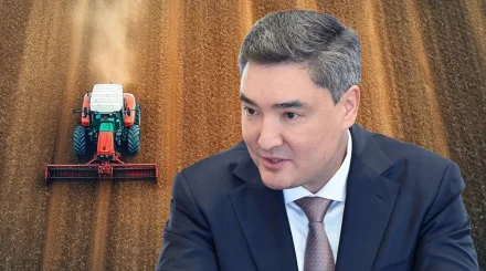 В Казахстане ожидают урожай выше средних показателей несмотря на засуху – Бектенов
