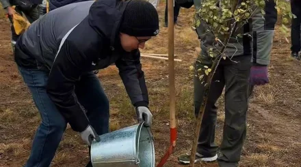 «Таза Қазақстан»: В Караганде высадили «Аллея энергетиков»