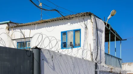 Серийные скотокрады орудовали в области Абай