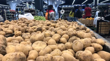 Картоп бағасы қымбаттай ма: Министрлік болжамын айтты