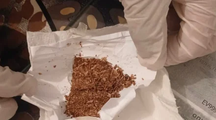   Ұлттық ұлан әскери қызметшілері 60-қа жуық күмәнді түйіншек тапты   