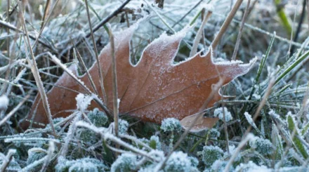 29 қыркүйекте Қазақстанның бірқатар өңірінде үсік жүреді