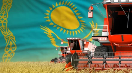 Қазақстанда 20 миллион тоннаға жуық астық жиналды