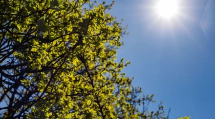 Қазақстанда кейінгі 85 жылдағы ең ыстық жаз тіркелді