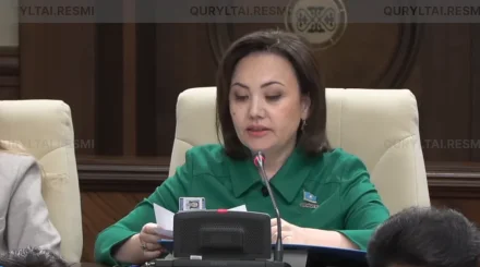 «Әділет» партиясы әр қала мен ауыл үшін тазалықтың цифрлық паспортын жасауды ұсынды