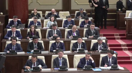 Казахстан ускорил охоту за интернет-мошенниками