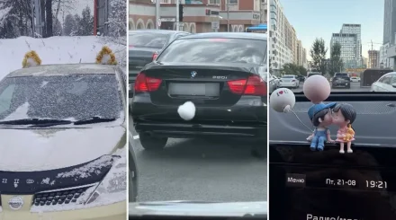 Хвост на BMW и «магическая» Kia: пользователи показали необычные украшения своих машин