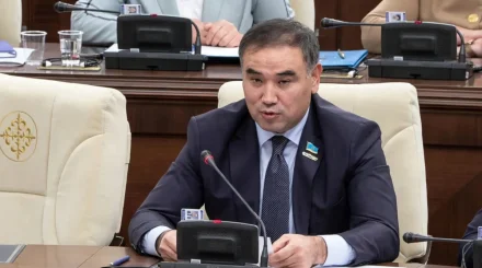 Депутат кейбір «қиын» заң жобаларын халыққа түсіндіру үшін жұмысты күшейтуді ұсынды
