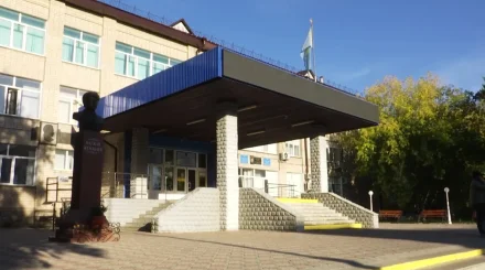 Студентов колледжа госпитализировали с подозрением на лишай в Петропавловске