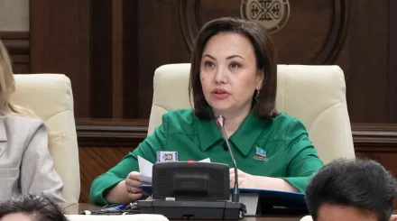 «Әділет» партиясы әр елді мекенге цифрлық паспорт енгізуді ұсынды