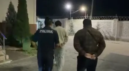  TikTok-та былапыт сөз айтқан екі алматылық жігіт 5 тәулікке қамалды 