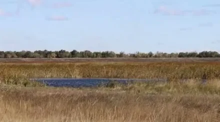 Скотомогильник у озера: в Костанайской области жители требуют переноса