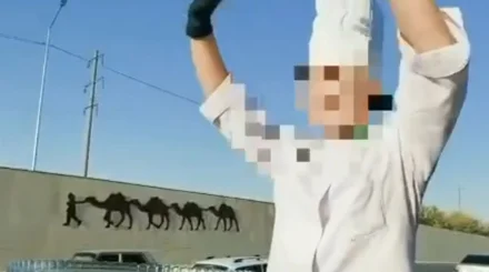   Жол үстінде торт әзірлеген: Түркістан облысында қауіпті видео түсірген ерлі-зайыпты жауапқа тартылды   