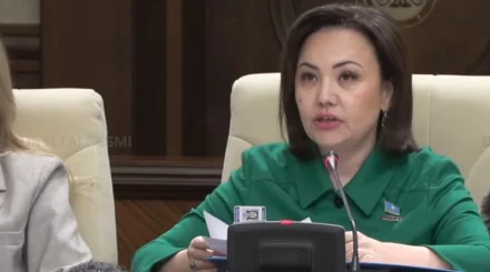 Депутат Ұлттық тазалық стандартын әзірлеуді ұсынды
