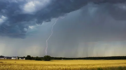 Жаңбыр, найзағай, тұман: 12 облыста дауылды ескерту жарияланды